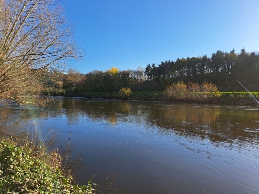 High water at How Caple Court - GB from Bristol